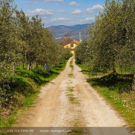 Bioagriturismo Poderaccio Incisa in Val d'Arno Exteriér fotografie