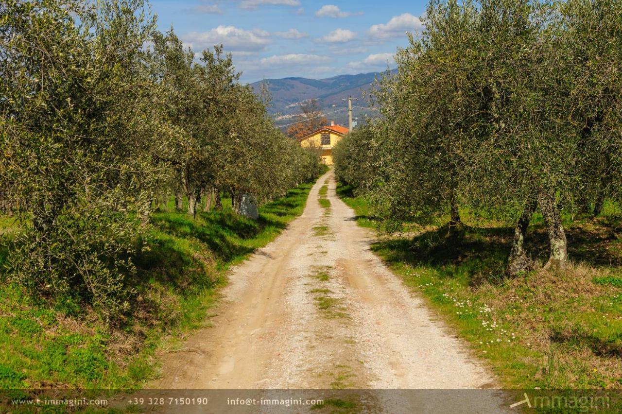 Bioagriturismo Poderaccio Incisa in Val d'Arno Exteriér fotografie