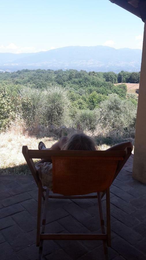 Bioagriturismo Poderaccio Incisa in Val d'Arno Exteriér fotografie