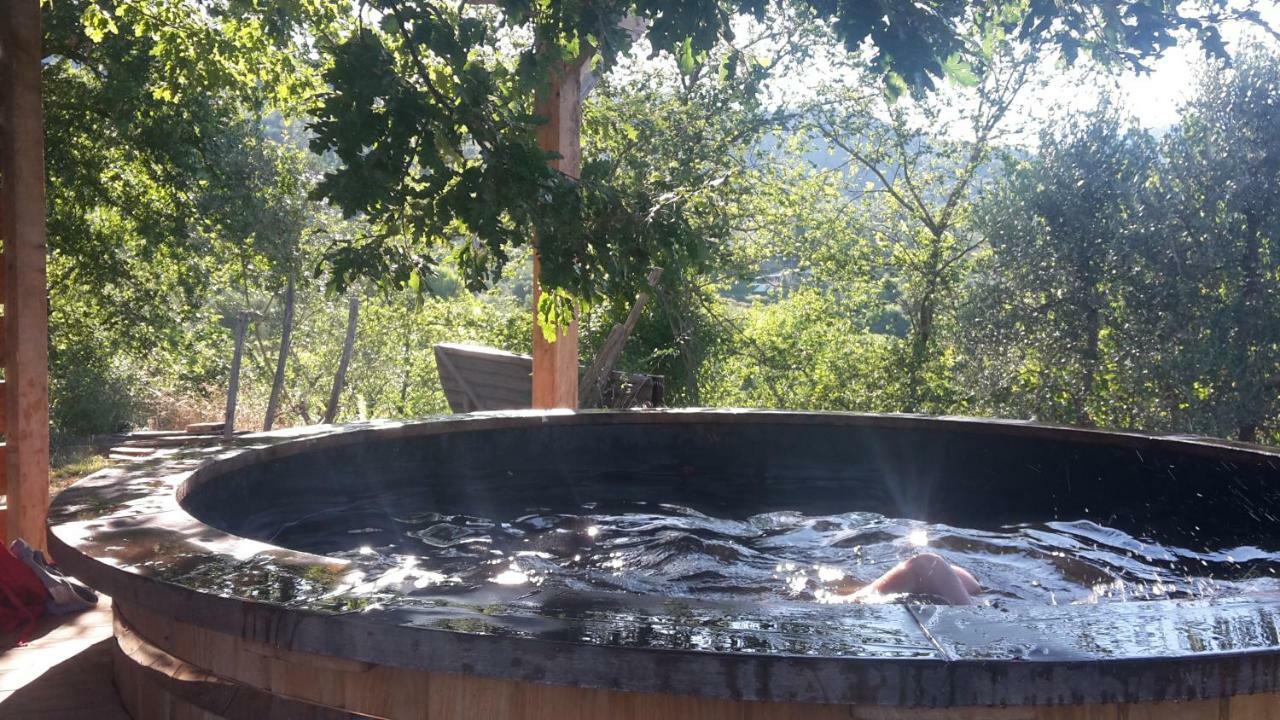 Bioagriturismo Poderaccio Incisa in Val d'Arno Exteriér fotografie