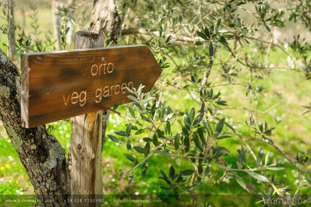 Bioagriturismo Poderaccio Incisa in Val d'Arno Exteriér fotografie